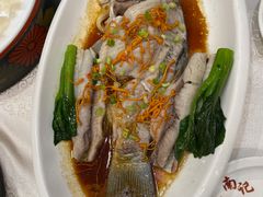 -寻味顺德·南记酒家·传统顺德菜·鱼生(广源路店)