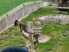 -大连森林动物园