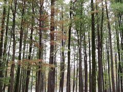 -共青国家森林公园-售票处