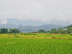 -钟山水墨田园