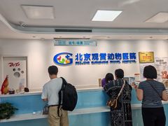 -北京观赏动物医院·24小时大型综合·猫专科·异宠专科