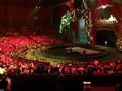 -珠海横琴长隆《卡卡虎奇遇记》