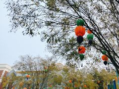 -沈阳方特欢乐世界