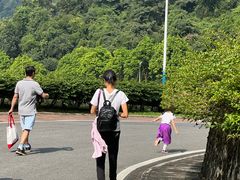-火炉山森林公园