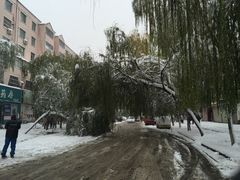 -解放人民公园