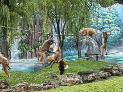 -北京野生动物园