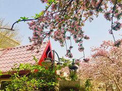 -天津五大道文化旅游区