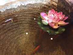 -咖星人E·T coffee·云赛空间