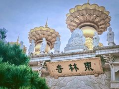 -上海东林寺(金山区)