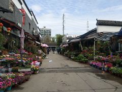 -平吉花卉市场