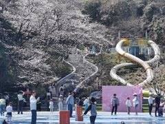 -杭州少年儿童公园