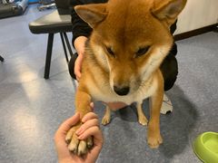 -博纳私人订制健身(中集美兰湖店)