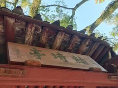 -天一阁博物院