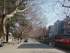 -冶山国家矿山公园