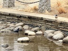 -玲珑塔公园