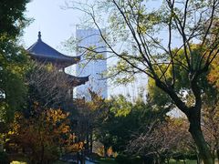 -堤角公园