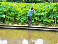 -沐仙湖湿地公园