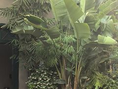 -山壹竹庭院餐厅