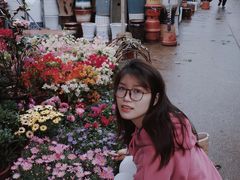 -桂林市花鸟市场