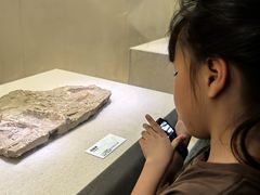 -衢州市博物馆