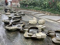 -成都市活水公园