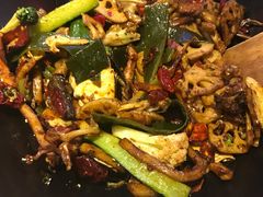 -食乐佳麻辣香锅(森林摩尔商业街区店)