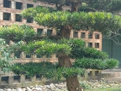 -成都杜甫草堂博物馆