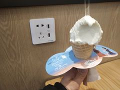 -野人先生现做冰淇淋(北京环宇荟店)
