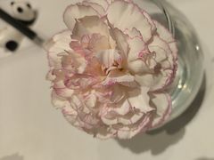 -眉州东坡(国贸店)