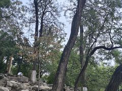 -莲湖公园