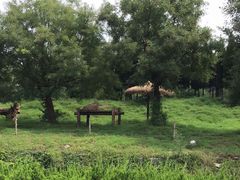 -济南野生动物世界