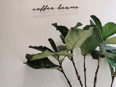-red donkey coffee