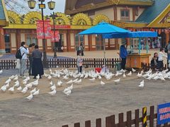 -七彩云南欢乐世界