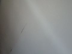 -巢爷老味(东方红店)