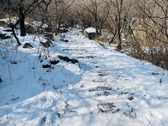 -阳台山自然风景区