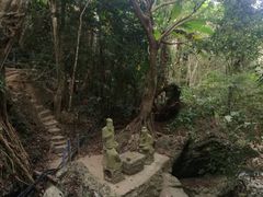 -七仙岭温泉国家森林公园