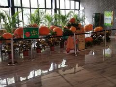 -北戴河集发农业梦想王国