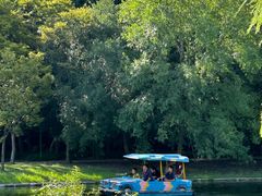 -上海共青森林公园