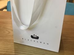 -BLACKSWAN黑天鹅(环球店)