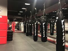 -TFC 纯泰拳馆MuayThai