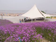 -在海一方公园