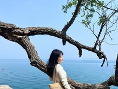 -抚仙湖禄充风景区
