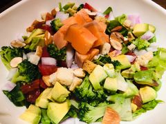 -百好乐宠物友好餐厅(朝外大街店)