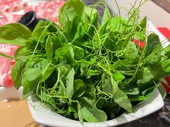 豌豆尖-海底捞火锅(连城广场店)