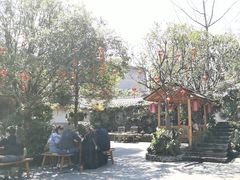 -青城甲(青城山店)