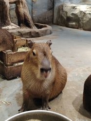 -Zoolung Zoolung动物主题公园(海信广场店)