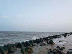 -南汇嘴观海公园