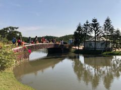 -迪茵湖田家舍生态农场