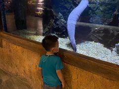 -华夏文旅海洋公园