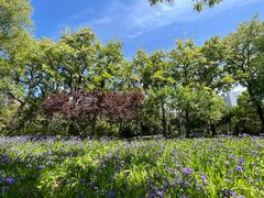 -元大都城垣遗址公园